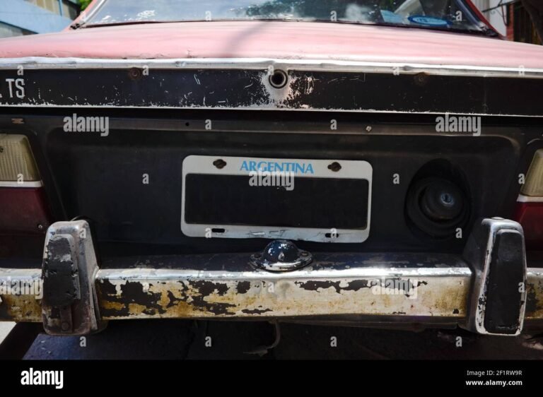 Es obligatorio que la placa patente trasera tenga luz en Argentina