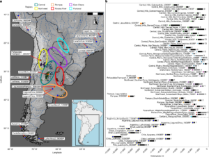 dni argentino mostrando un ejemplar limpio