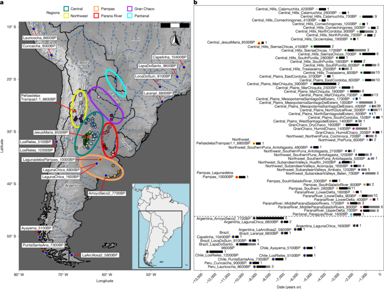Qué significa el término «Ejemplar» en el DNI argentino