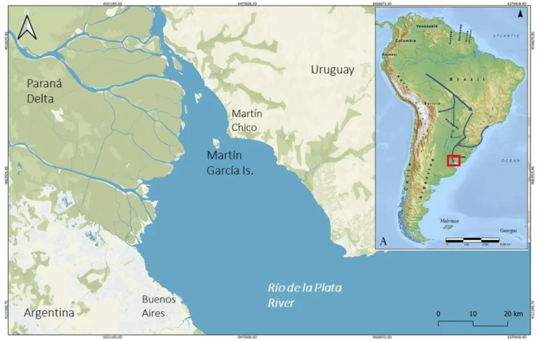 A Cuántos Kilómetros Puedo Votar en Argentina Si Estoy Fuera
