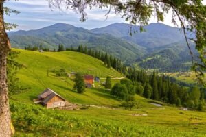 paisaje rural con montana y arbol pino